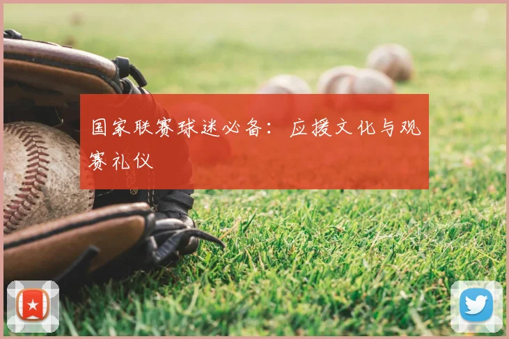 国家联赛球迷必备：应援文化与观赛礼仪